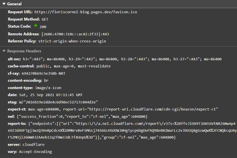 Cloudflare Pages /favicon.ico request details