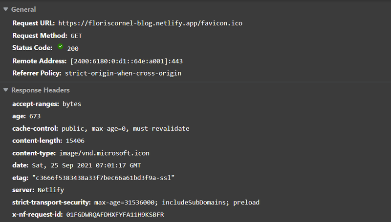 Netlify /favicon.ico request details